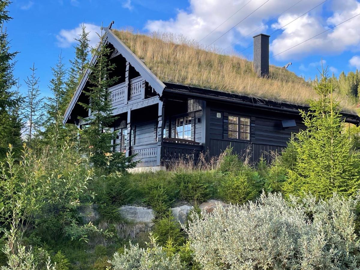 Ski And Bike-In And Out Hafjell Exterior photo